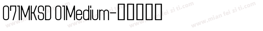 071MKSD 01Medium字体转换